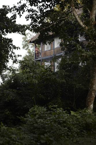Chitwan Nepal Hotel Promo descuento booking.com