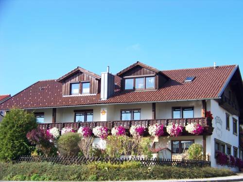 Zwiesel Alemania Hotel Promo descuento booking.com
