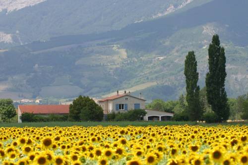 Menglon Frankreich Hotel-Promo-Rabatt booking.com