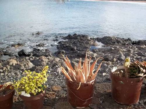 Arrieta Spanien Hotel-Promo-Rabatt booking.com