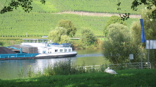 Brauneberg Alemania Hotel Promo descuento booking.com