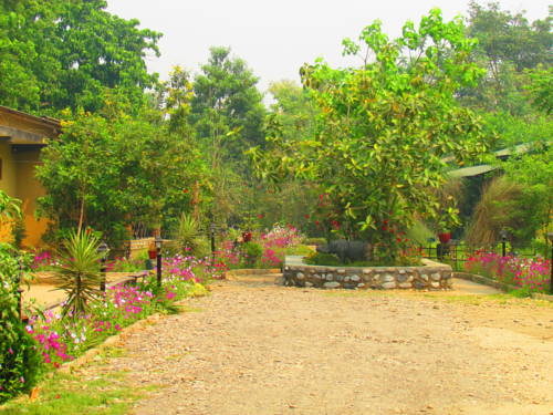 Chitwan Nepal Hotel Promo descuento booking.com