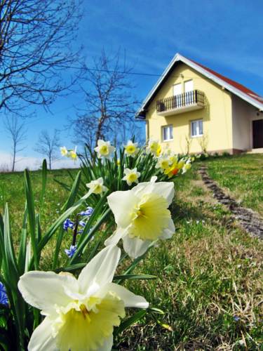 Drežnik Grad Kroatien Hotel-Promo-Rabatt booking.com
