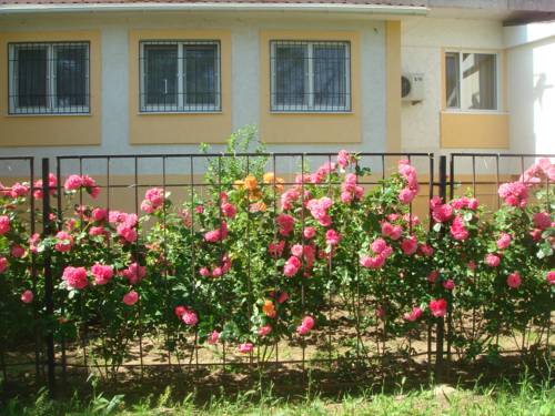 Prymorskyy Krim Hotel-Promo-Rabatt booking.com
