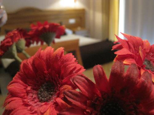 Alcobendas Spanien Hotel-Promo-Rabatt booking.com