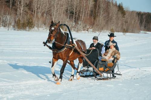 Strugi Village Russland Hotel-Promo-Rabatt booking.com