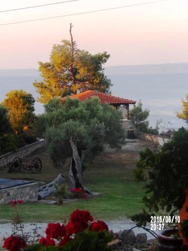 Chalkidiki Greece Hotel Agoda.com