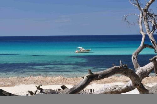 Sant'Antonino Francia Hotel Promo descuento booking.com
